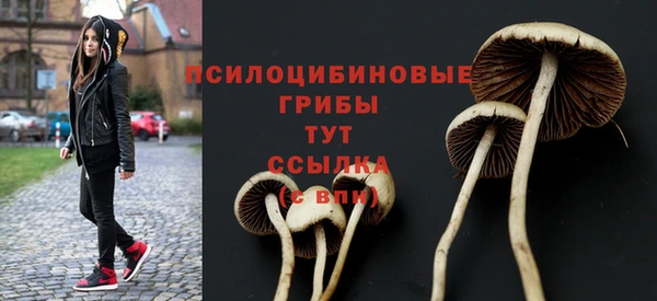 PSILOCYBIN Алексеевка