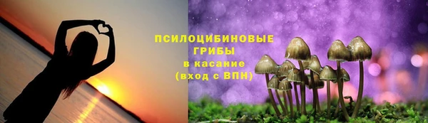 PSILOCYBIN Алексеевка