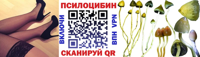 где продают наркотики Ак-Довурак shop телеграм Псилоцибиновые грибы Cubensis